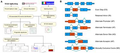 Genome-Wide Profiling of Alternative Splicing Signature Reveals Prognostic Predictor for <mark class="highlighted">Esophageal Carcinoma</mark>